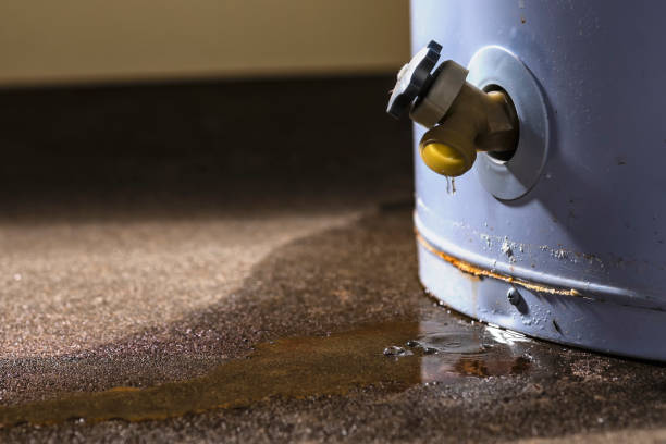 Best Water damage restoration near me  in Tsaile, AZ