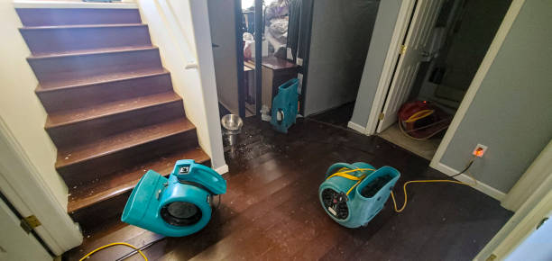 Best 24-hour water damage restoration  in Tsaile, AZ