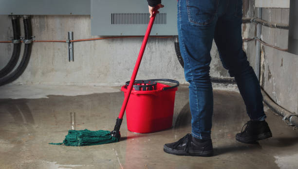 Best Flood restoration services  in Tsaile, AZ