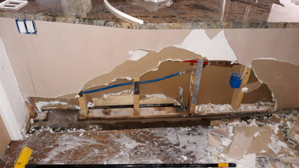 Best Flood damage cleanup  in Tsaile, AZ