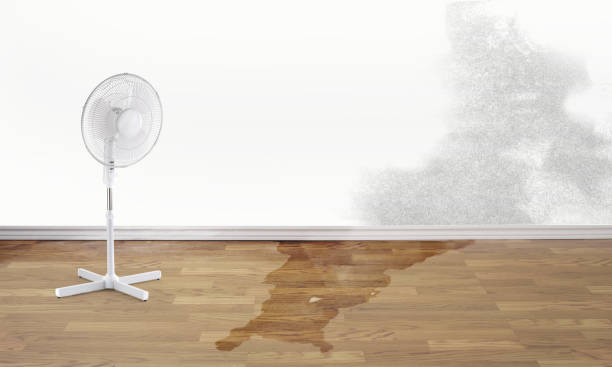 Sewage cleanup and water damage restoration in AZ