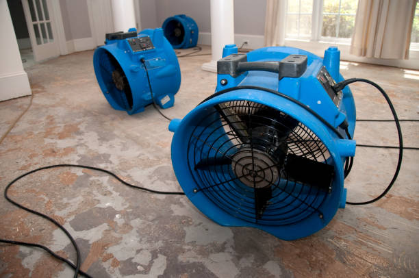 Reliable AZ Water damage restoration Solutions