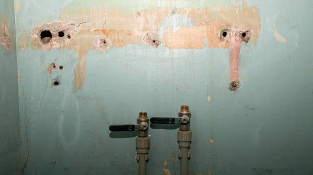Best Water damage repair service  in Tsaile, AZ