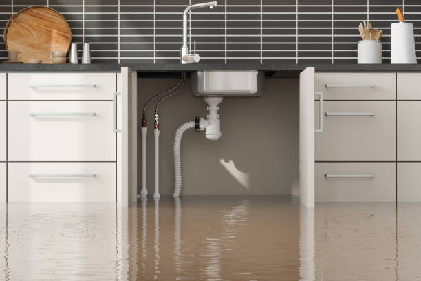 Water damage restoration mold remediation in AZ