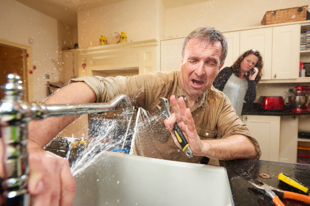 Best Water damage restoration near me  in Tsaile, AZ